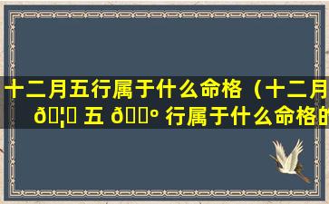 十二月五行属于什么命格（十二月 🦈 五 🐺 行属于什么命格的人）